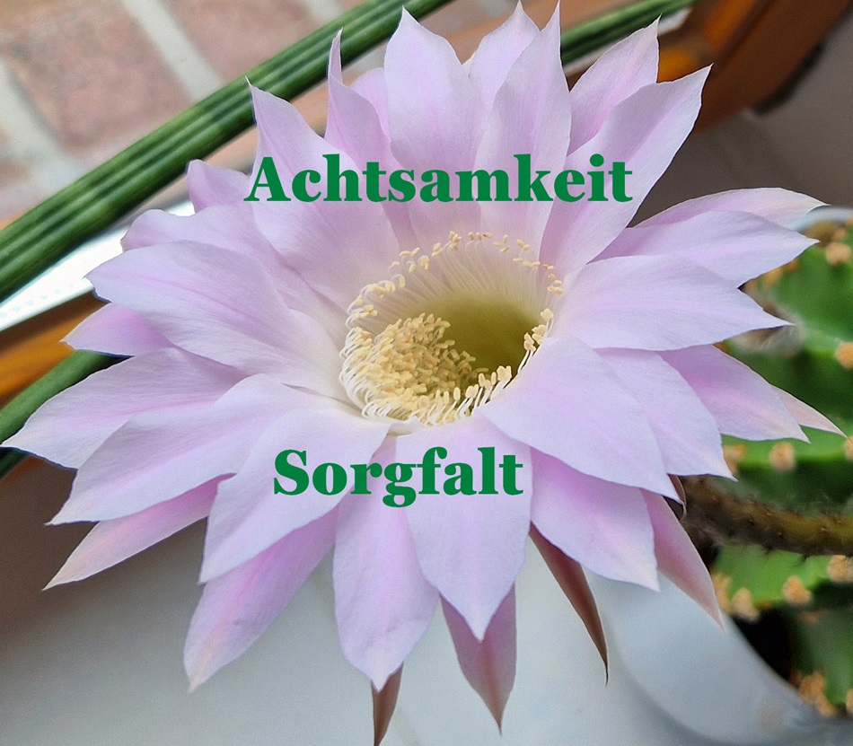 die Perfektion der Natur...
